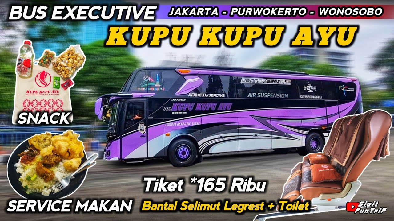 Trip Bus KUPU KUPU AYU 🦋 EXECUTIVE CLASS tujuan Purwokerto Wonosobo 👍🏻 Tiket 165 Ribu Full Service‼️