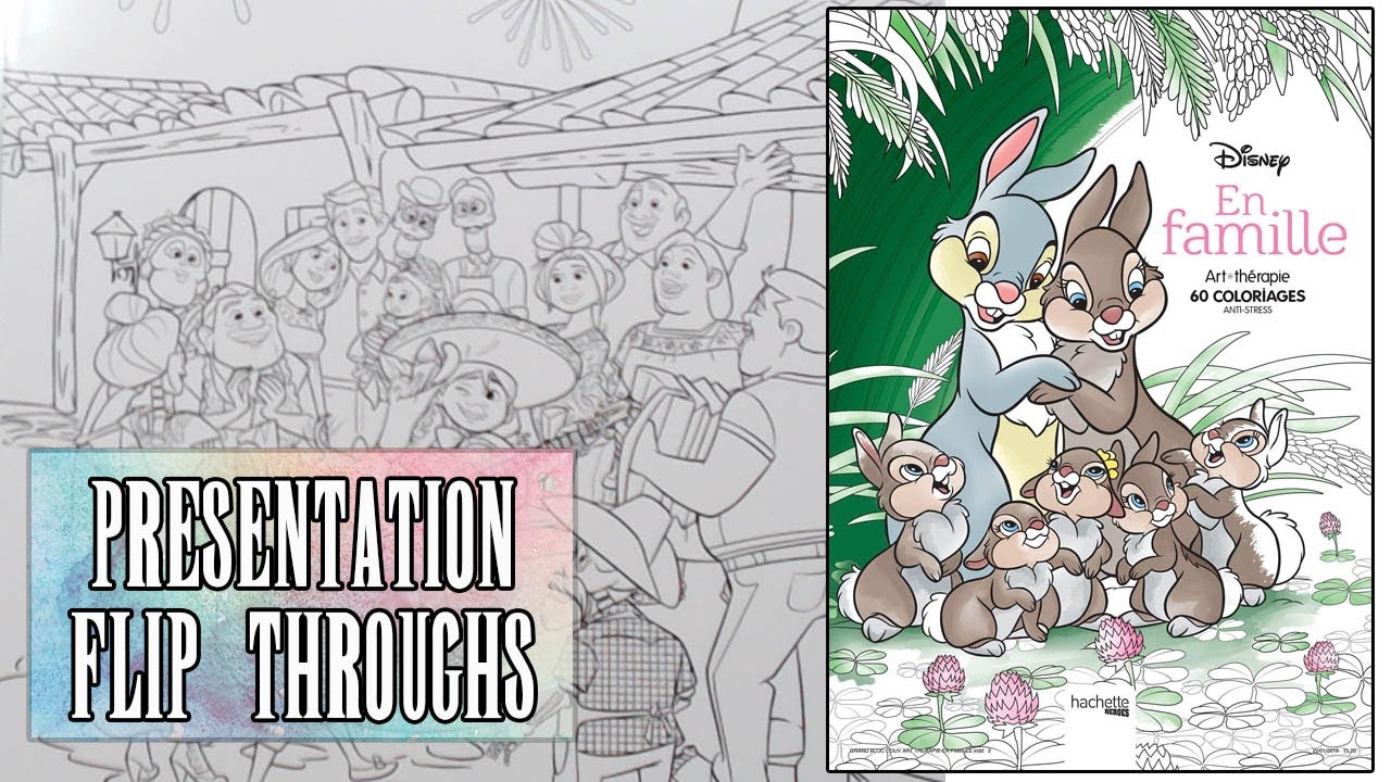 Presentation bloc Disney En Famille (Flip Throughs)