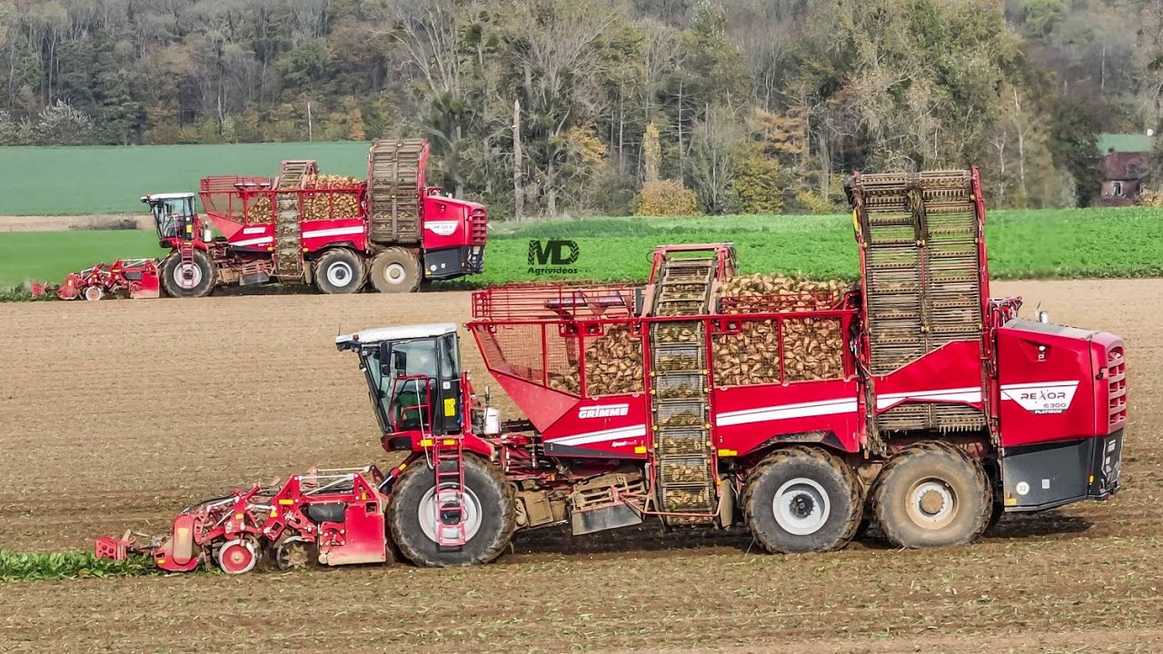 Grimme Rexor 6300 Platinum x2  -  Saintenoy & Fils
