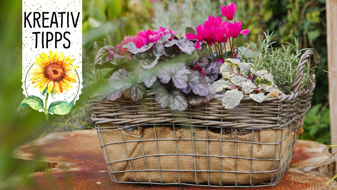Herbstbepflanzung für Balkon & Garten: Romantik im Korb - Volmary KreativTipps
