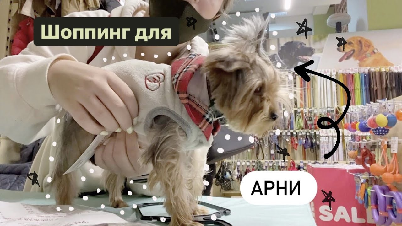 шоппинг в честь дня рождения Арни || собачий влог?:)