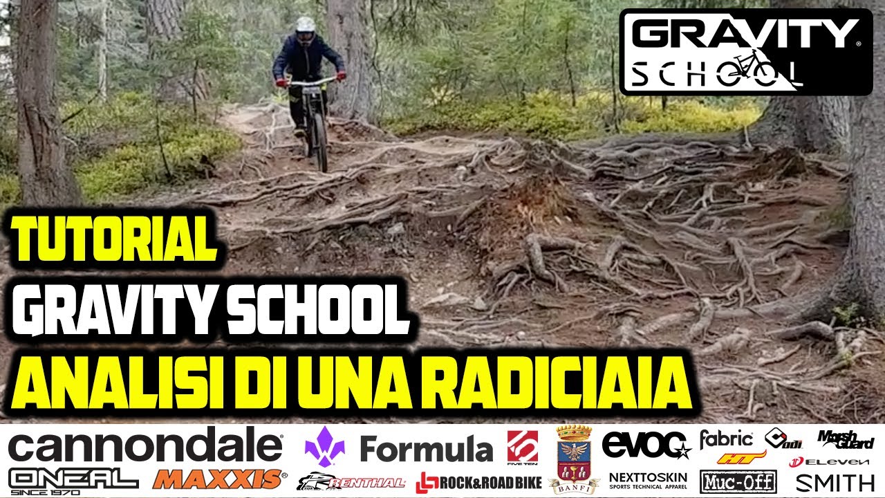 Tutorial Gravity School - Analisi di una radiciaia