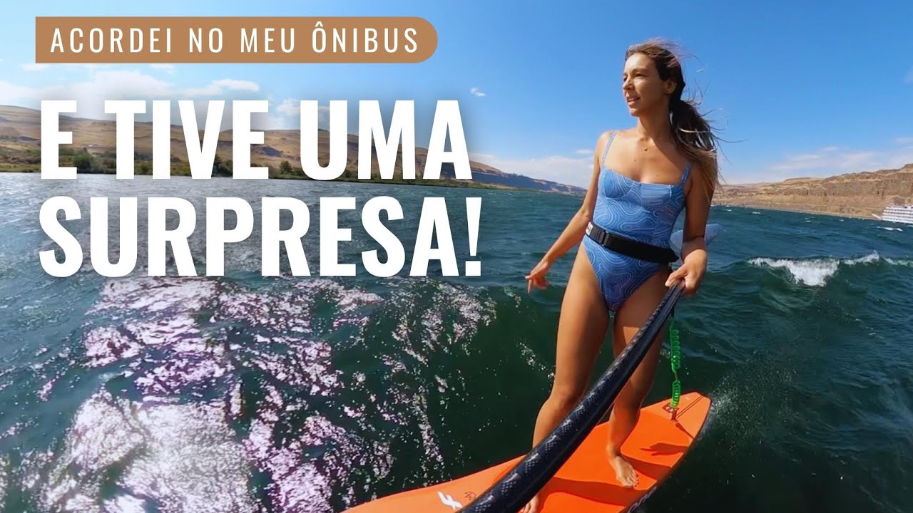 CONHEÇA os MOTORHOMES dos meus AMIGOS