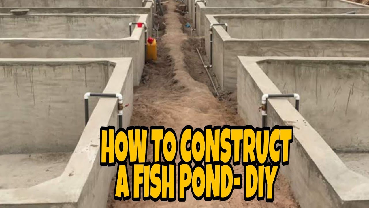 How to construct a fish pond by yourself| Easy backyard fish farm|