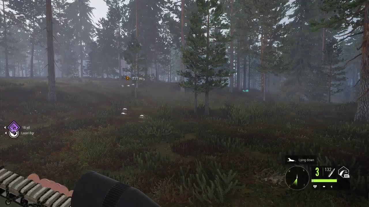 Lets go hunting