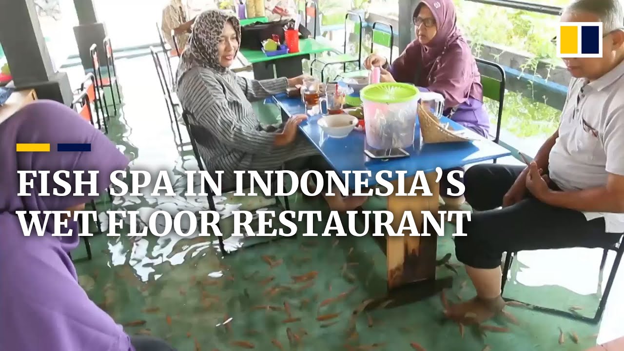 Fish pedicures in Indonesia&rsquo;s wet floor restaurant