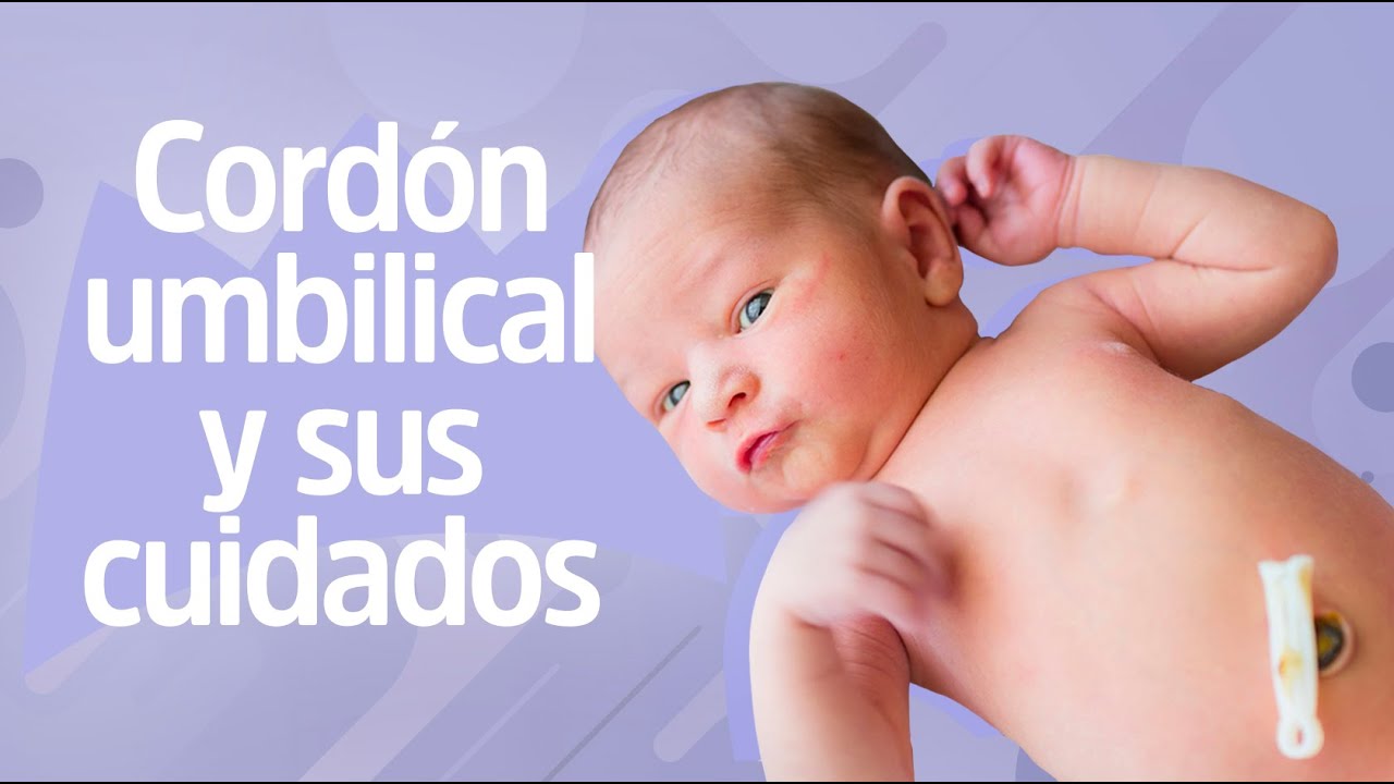 El cord&oacute;n umbilical y todo lo que debes saber | Reina Madre💜