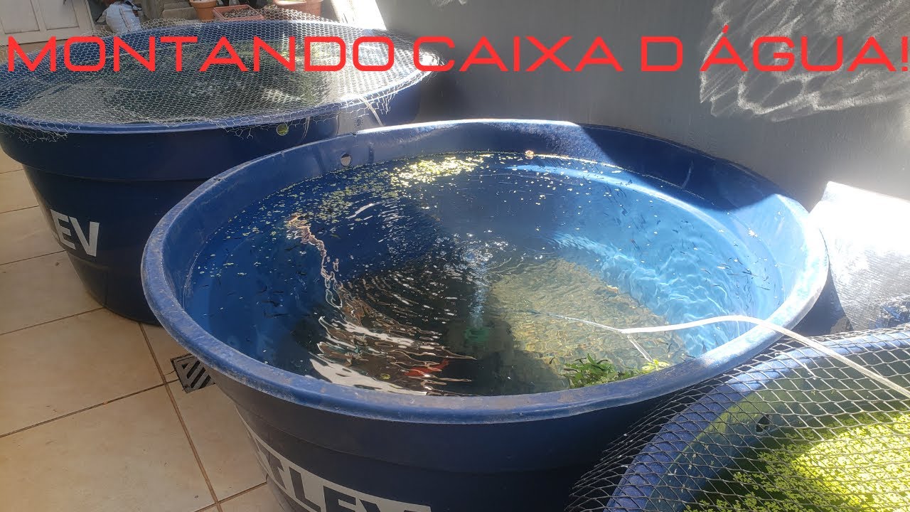 COMO EU MONTO MINHAS CAIXAS D &Aacute;GUA P/ CRIAR GUPPYS !!!