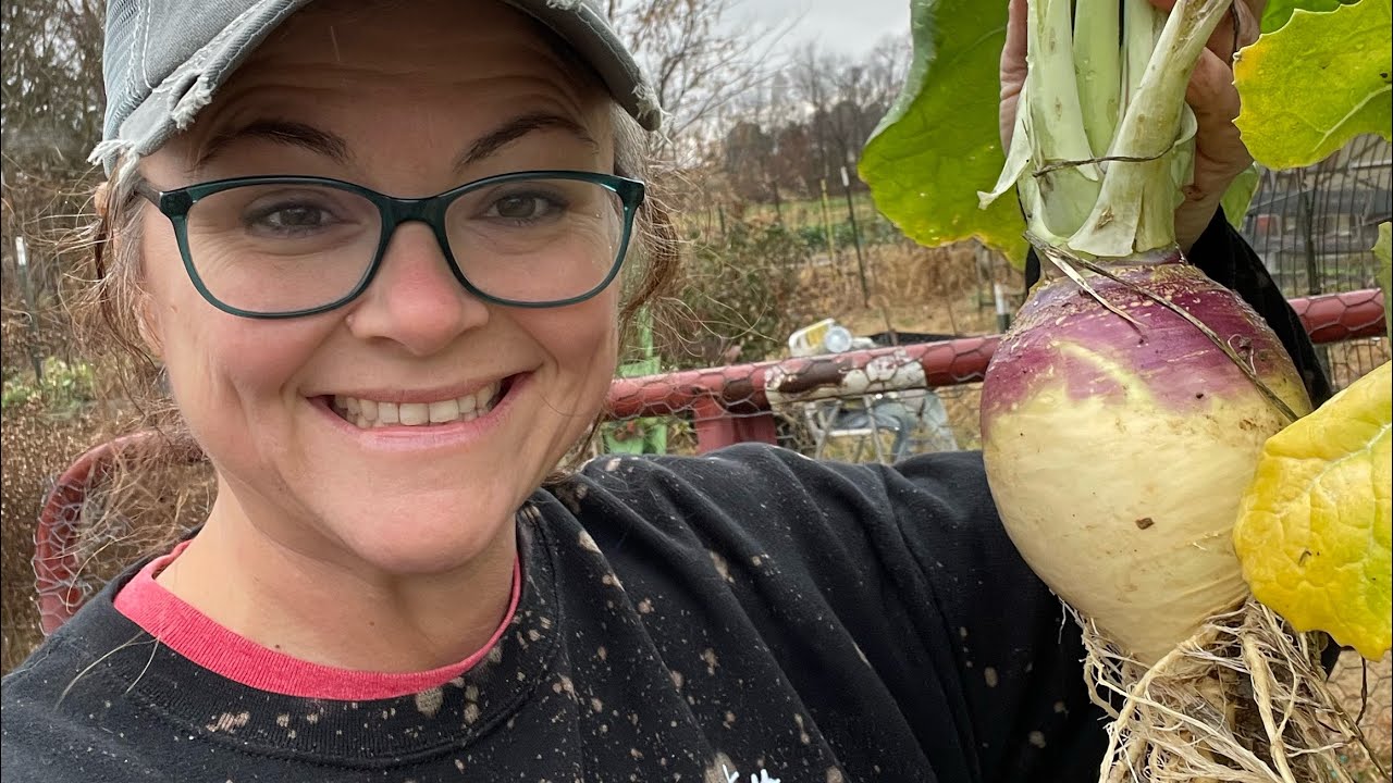 Year end garden review PART 1 zone 7A