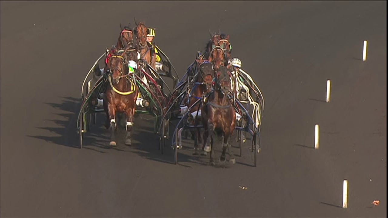 2015 GRAND PRIX DE FRANCE - LA COURSE - TIMOKO
