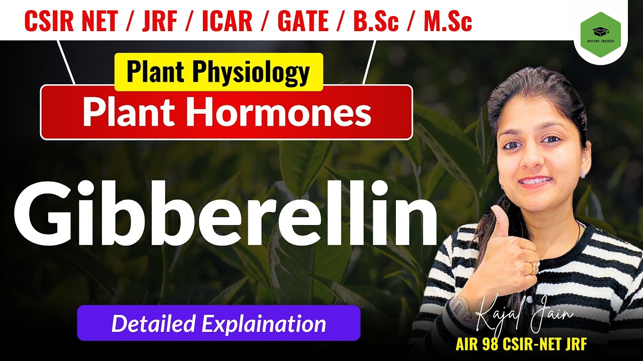 Plant Hormone - Gibberellin | Intro | Biosynthesis |Transport |Signalling | CSIR-NET JRF| GATE ||