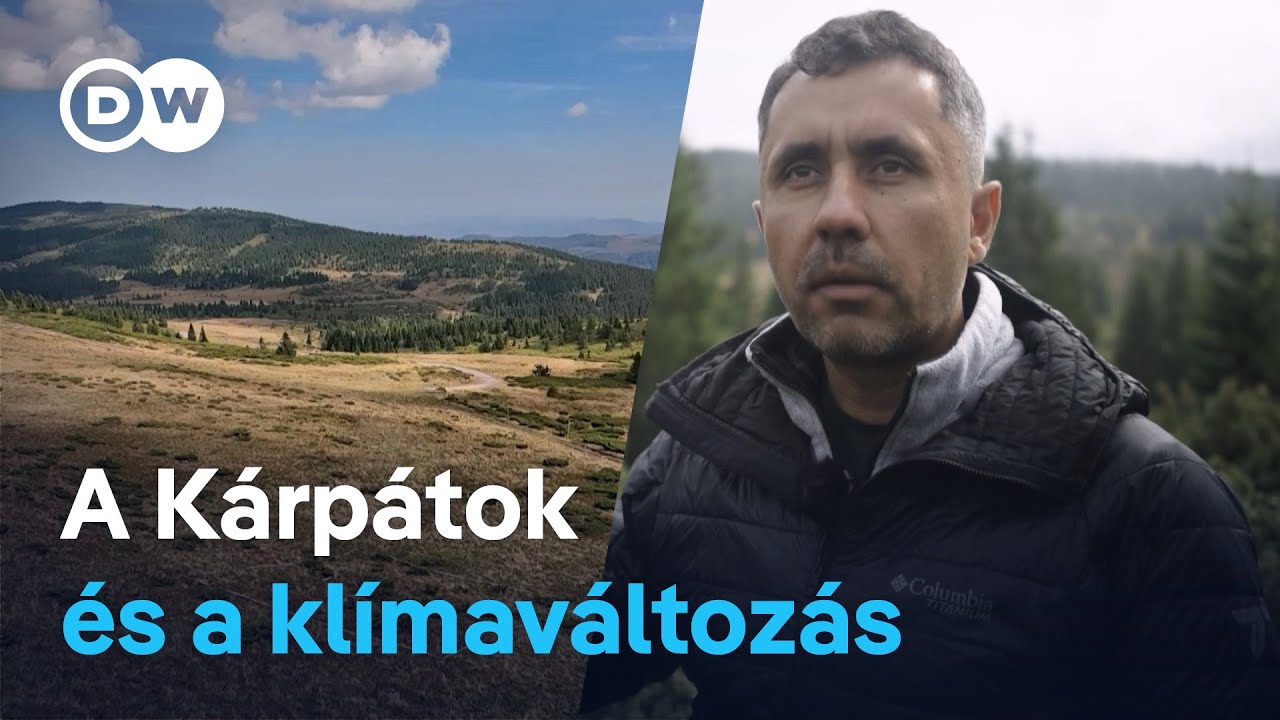 Melegebb és szárazabb nyarak a Kárpátokban: az éghajlatváltozás miatt magasabbra húzódnak az erdők