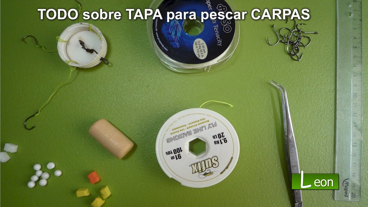 TODO sobre TAPA para pescar CARPAS 🐟 Secretos de mejor aparejo de pesca CARPAS
