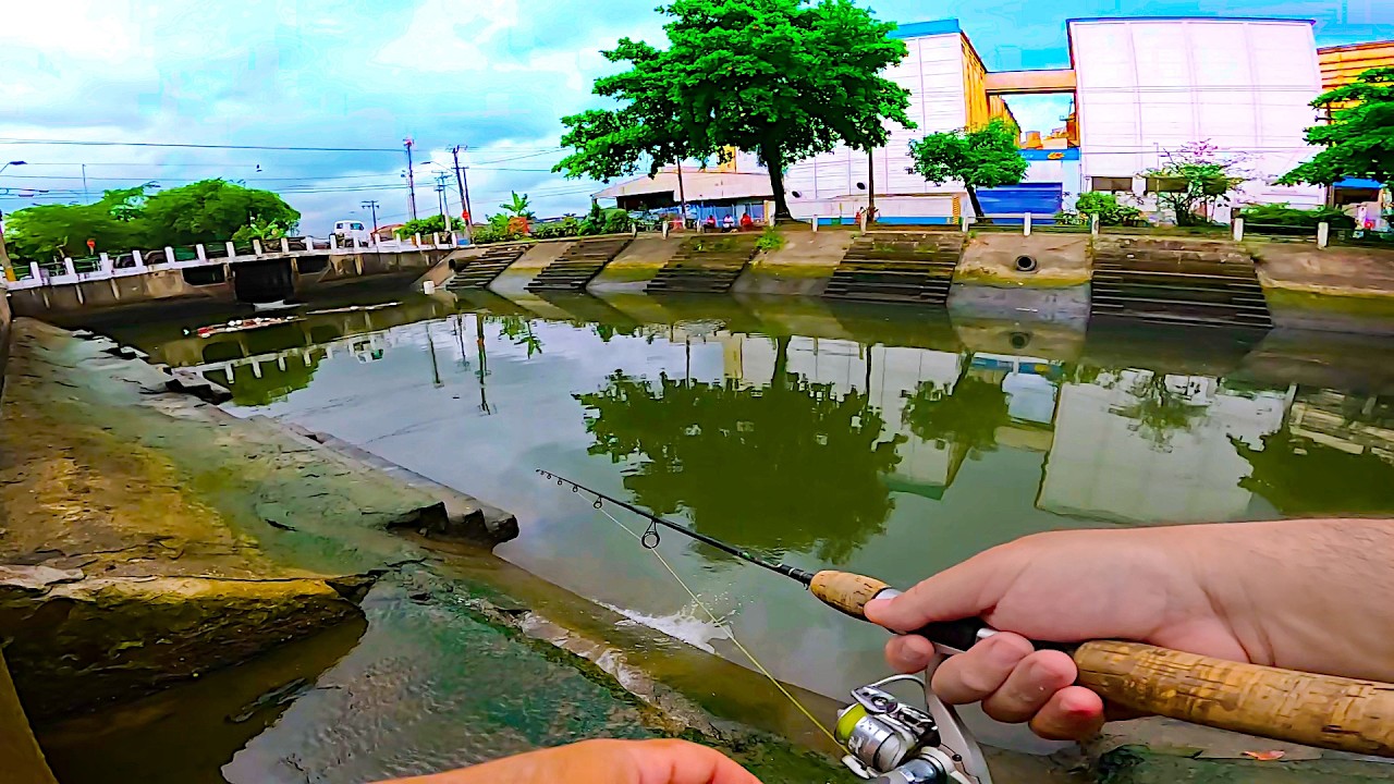 PESCA de ROBALO de UMA HORA PRA OUTRA TUDO MUDA!!! O CARDUME ATIVOU NA MARÉ BAIXA - PESCA EM SANTOS!