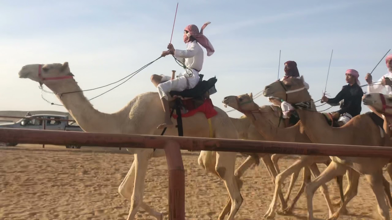 الغربي للسيد محمد معوض الحويطي
