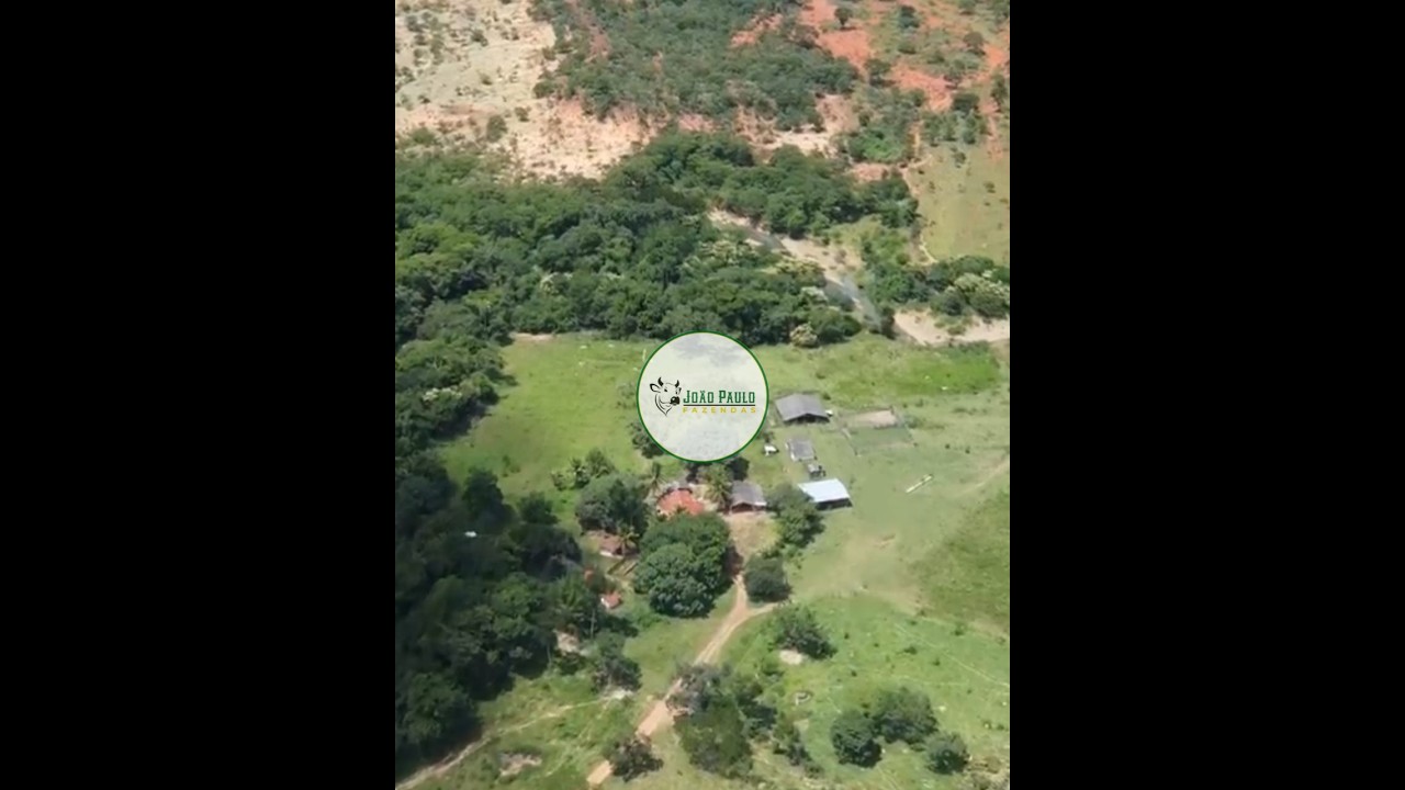 FAZENDA A VENDA EM BURITIS-MG - 250 HECTARES - TODA CERCADA