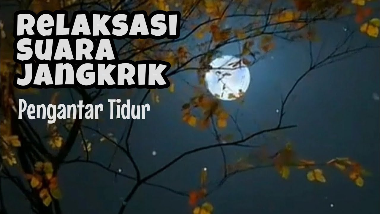 Relaksasi Suara Jangkrik Pengantar Tidur | Musik Alam | Relaxation of Crickets Sound