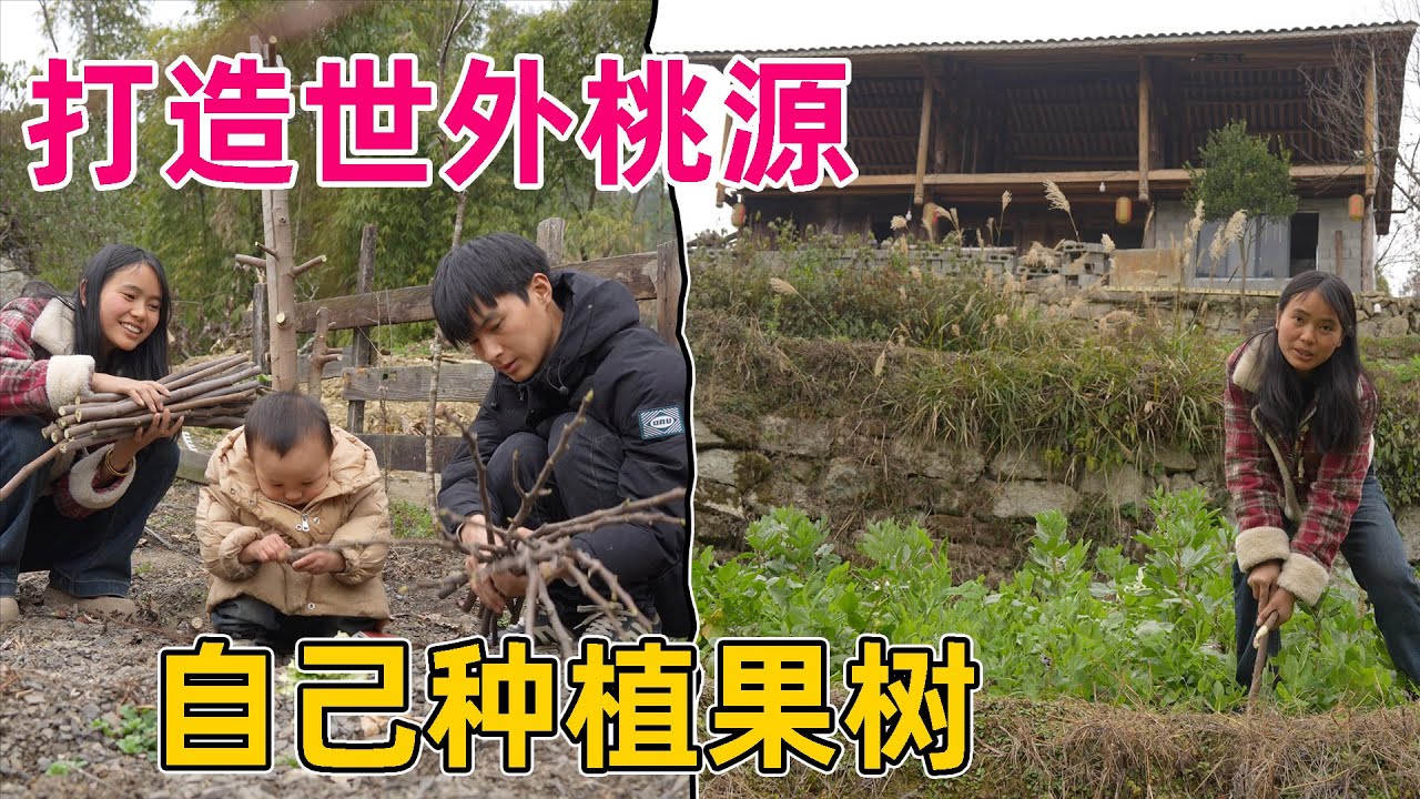 90后一家住在大山里，打造属于自己的世外桃源，让两个小孩有吃不完的水果