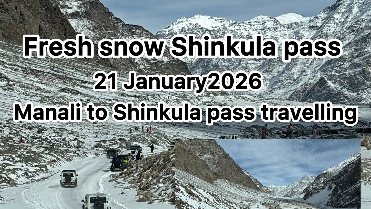 Fresh snow ❄️ Shinkula pass#manali #snow #travel #ataltunnel 