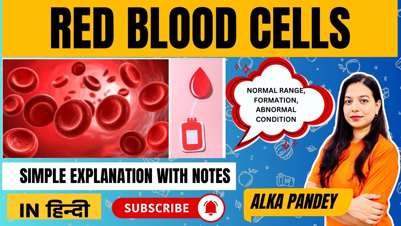 Red Blood Cells Explained: The Oxygen Carriers Inside You | In Hindi | ALKA PANDEY