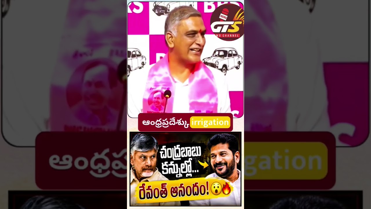 Harish Rao fires on cmrevanthreddy #brs #viral #trending #ytviral #ytreels #ytshorts #gtsnews