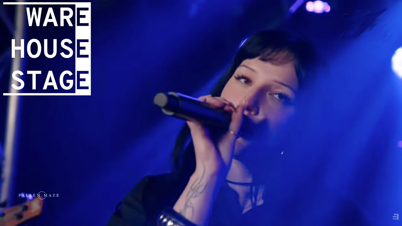 Fallen Maze - LiveStream | WareHouseStage 22.11.2025