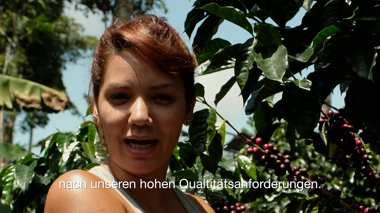 Kaffee-Farm Tropical Mountains