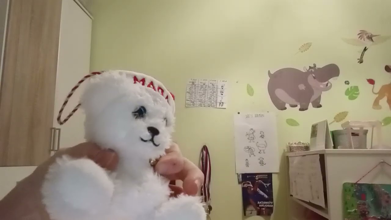 Pavilon zvířat 16 🥹🐆🐈‍⬛🐺🐻🥺