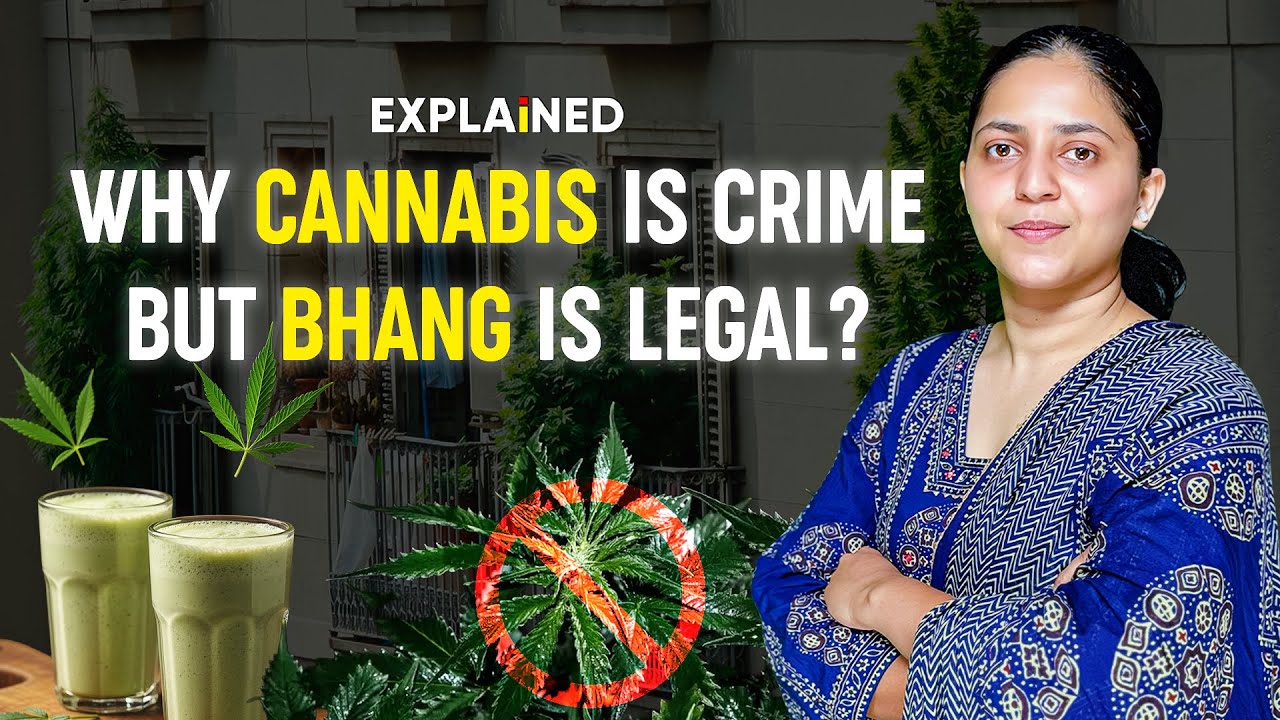 Why Growing Cannabis Is Illegal but Buying Bhang Is Legal in India | Narcotics Law - Explained