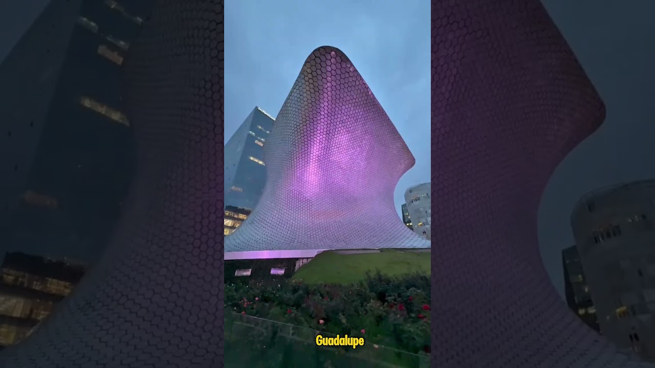 &iexcl;Explora la vibrante Ciudad de M&eacute;xico con el Tour panor&aacute;mico de Ciudad de M&eacute;xico! 🚌🇲🇽