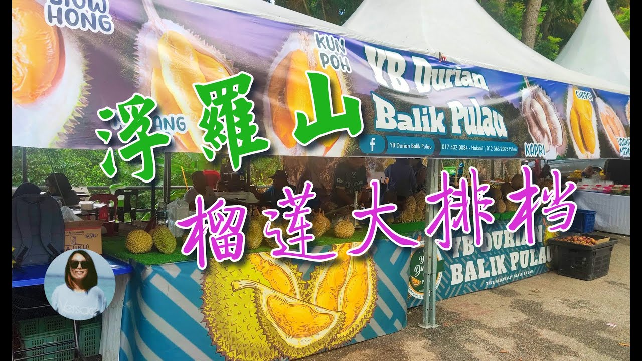 【马来西亚生活】榴莲大排档，十几个榴莲档随便选，发现新品种