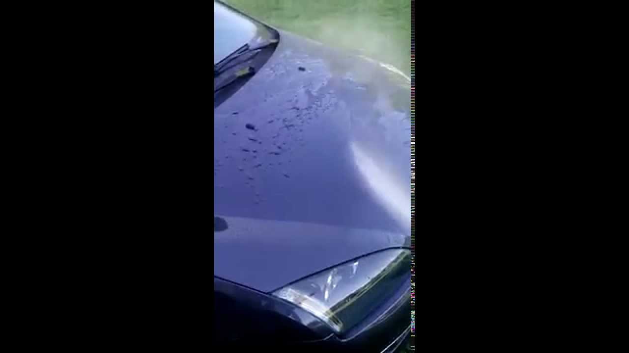Max Protect UNC-R - Ford Focus