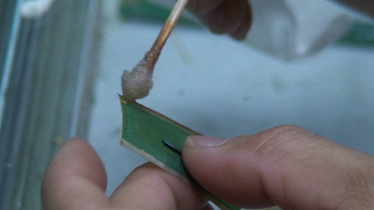 LCD screen repair