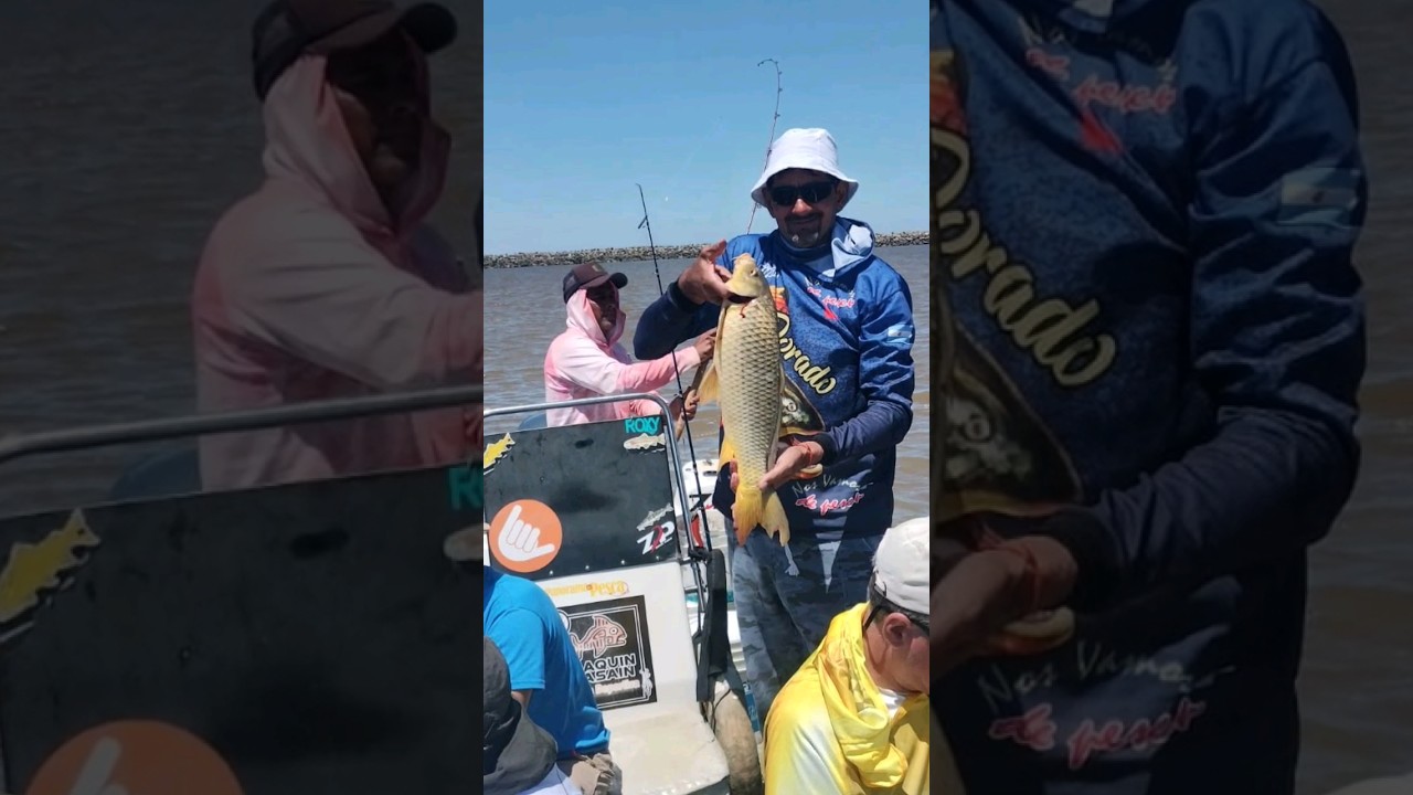 pesca en los Malecones de Berisso!!!