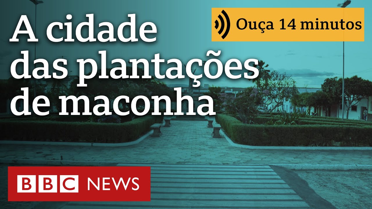 A pequena cidade brasileira que tinha maconha plantada até na praça principal | Ouça 14 minutos