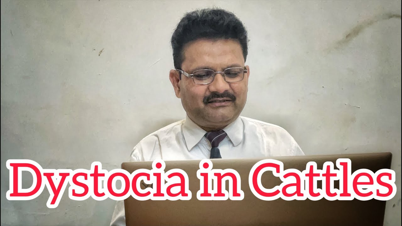 Discussion on Dystocia | कठिनप्रसव | Dr. Umar Khan
