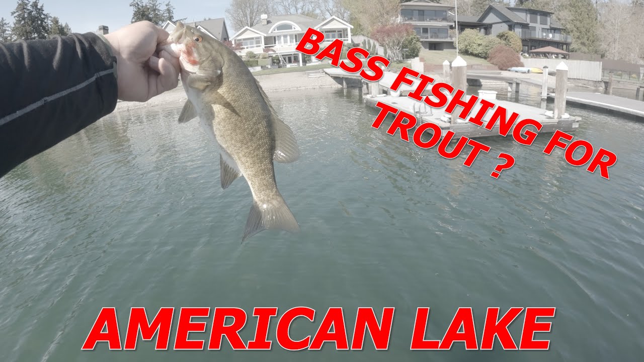 American Lake Bass & Trout