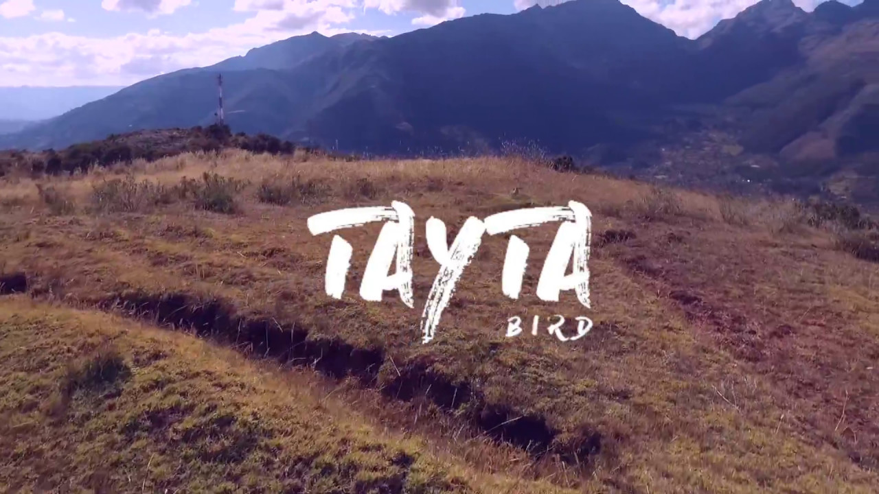 Tayta Bird - Wifala (feat. Jose Maria Arguedas)