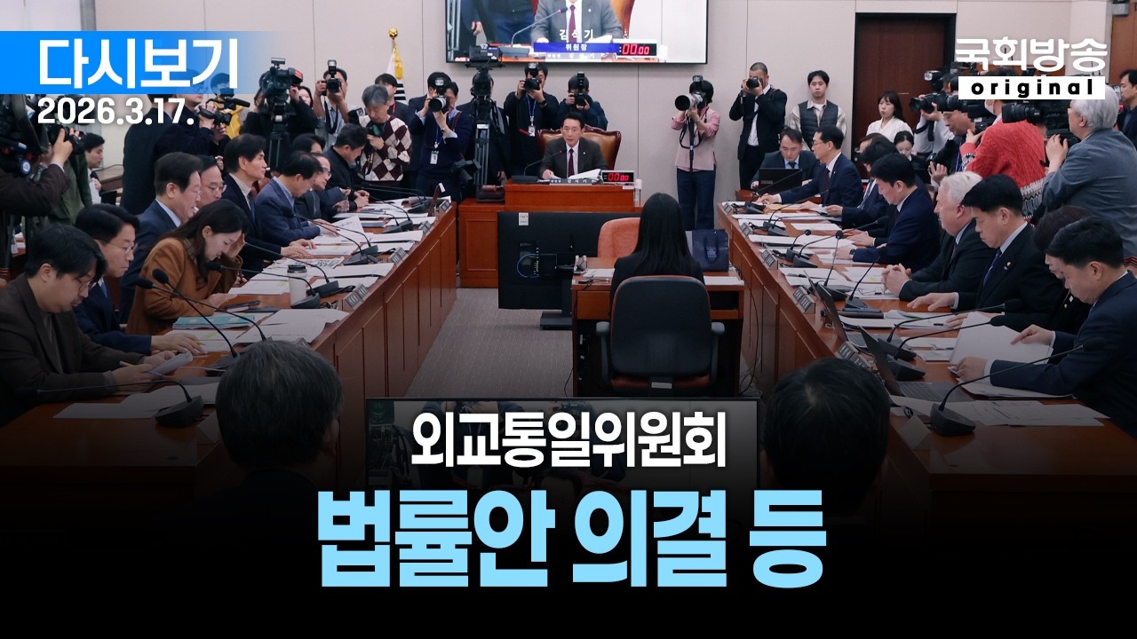 [국회방송 생중계] 외교통일위원회 - 법률안 의결 등 (26.3.17.)