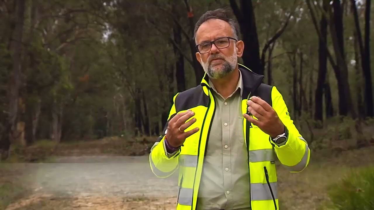 Puesta en valor el Arboreto de eucaliptos de El Villar, en Bonares, Huelva