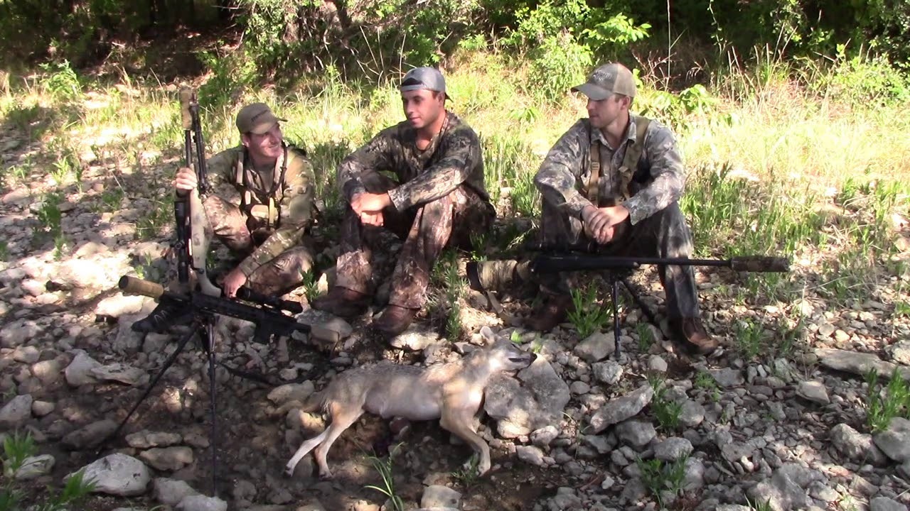 Suppressed Oklahoma Coyote Hunting- Episode 2 