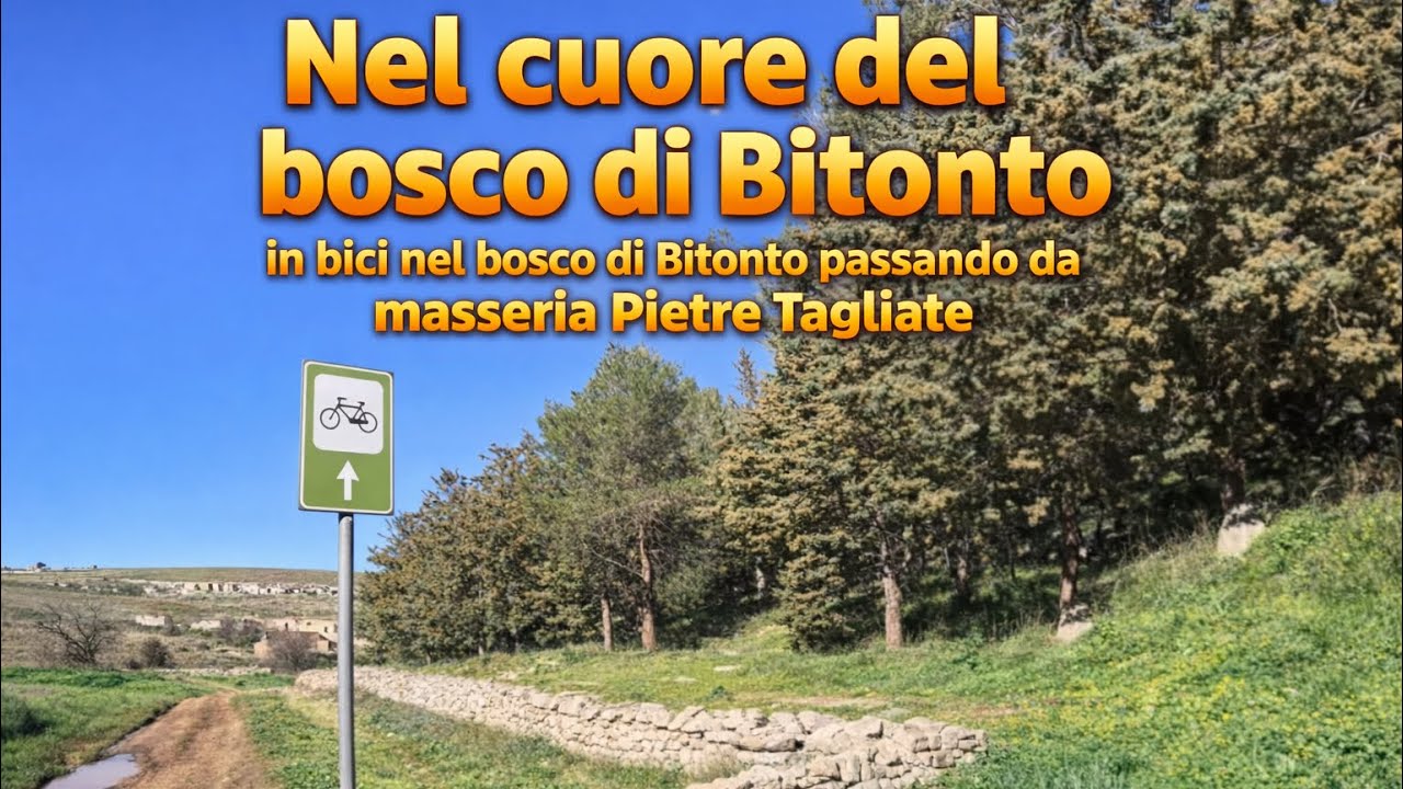 La Strada per Pietre Tagliate: Misteri, Sentimenti e Fango Esistenziale.
