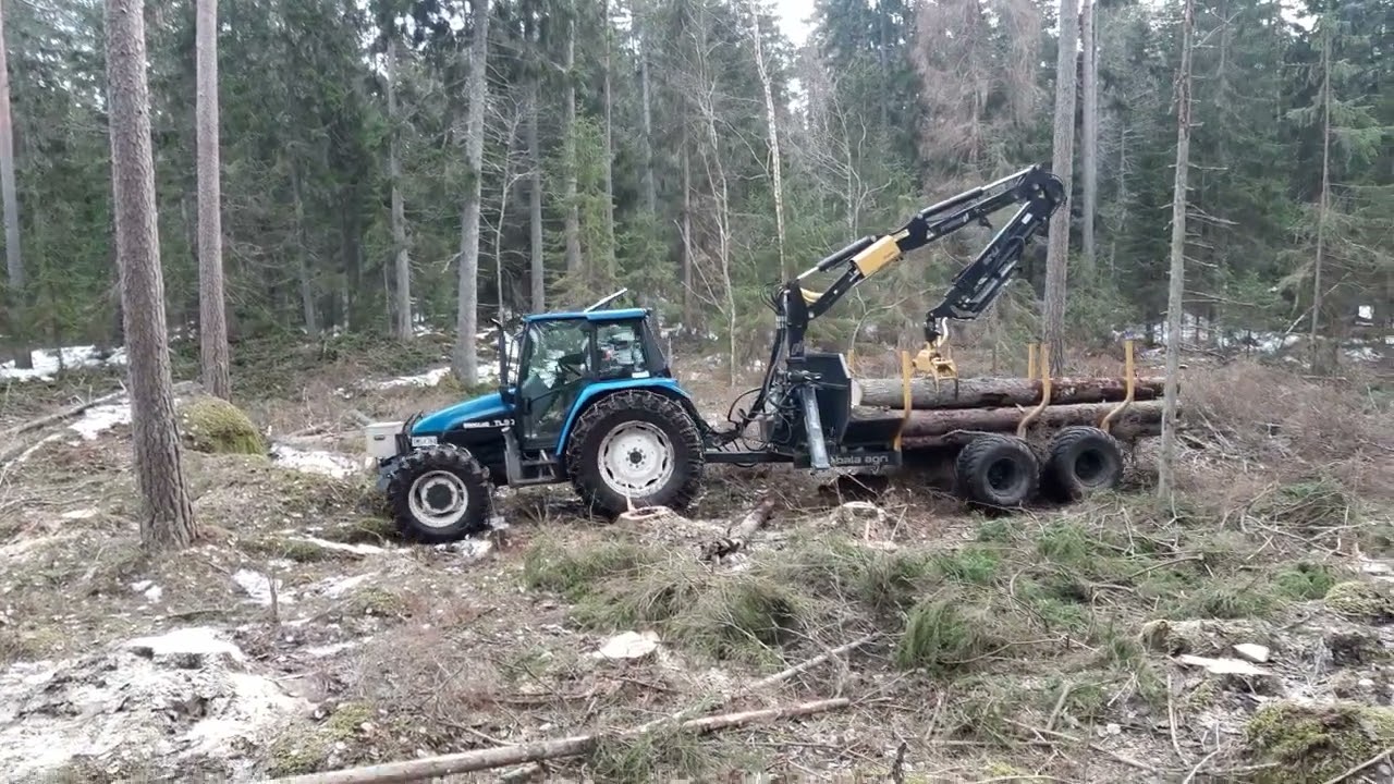 Tulka Storskog 29/2 -24 lastning av Barkborregran