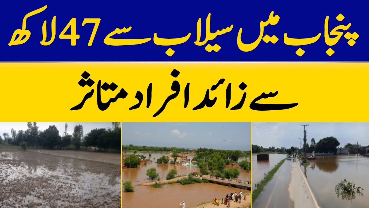 Flood Recovery Work Begins in Mandi Bahauddin | Dawn News