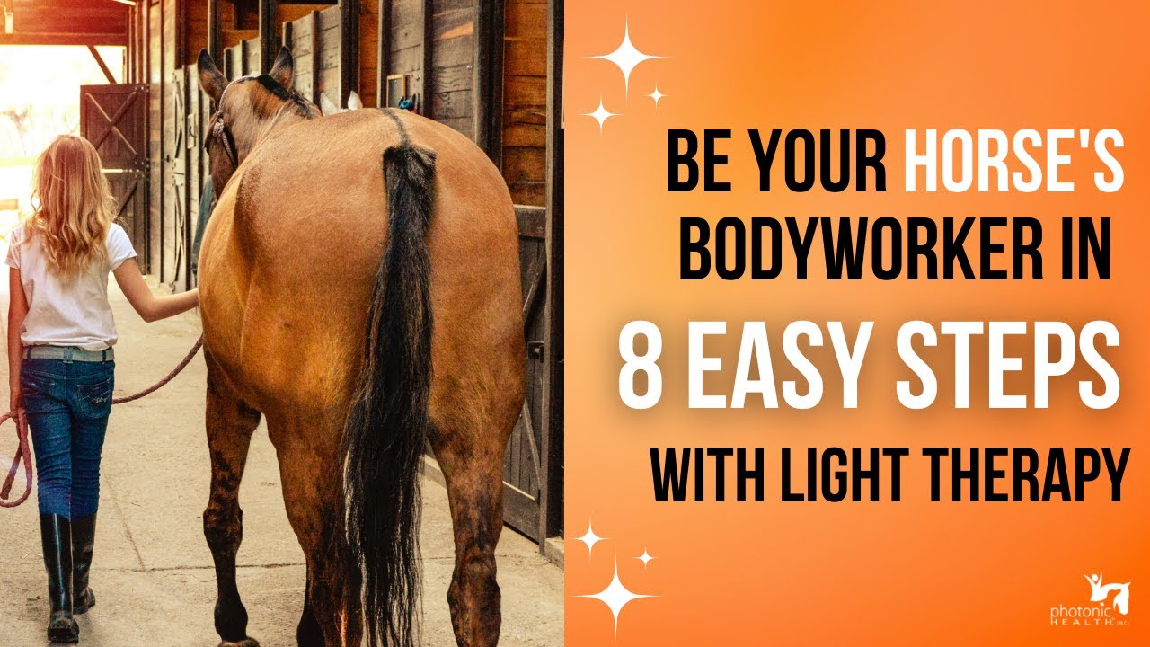 Be Your Horse's Bodyworker in 8 Easy Steps with Light Therapy