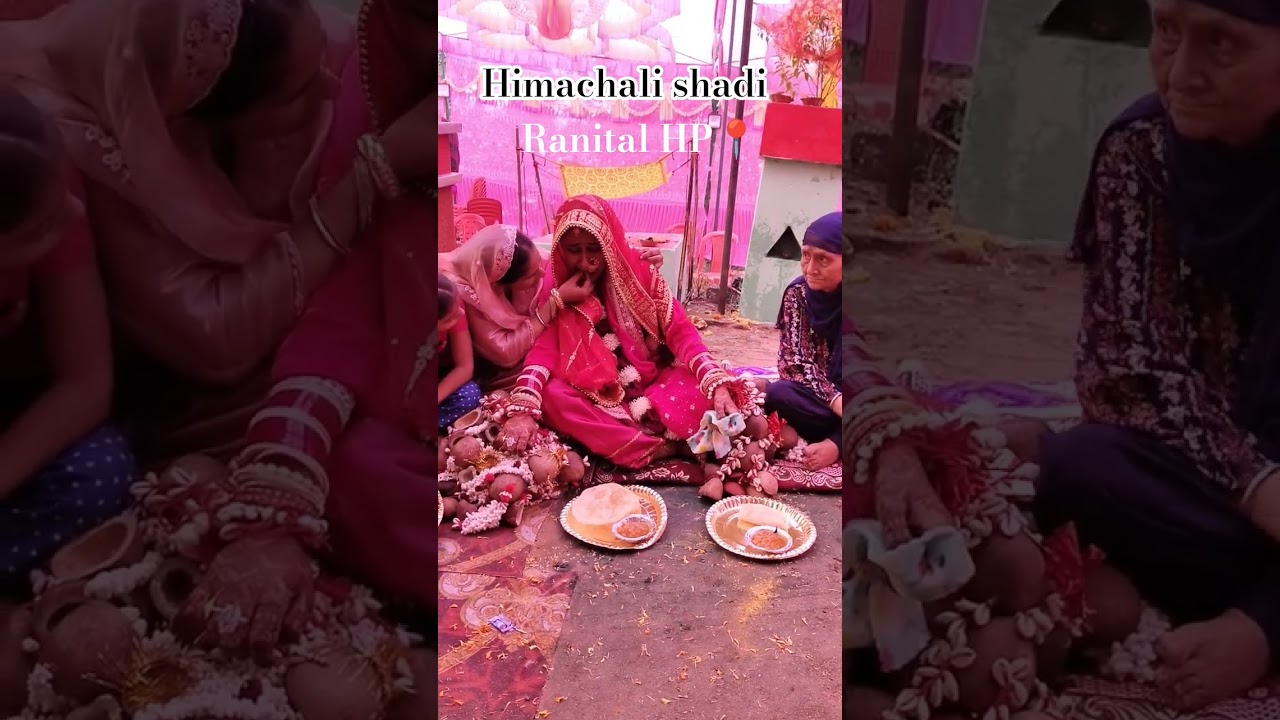 himachali Shadi #viralvideo #himachaliculture #wedding #lokgeet