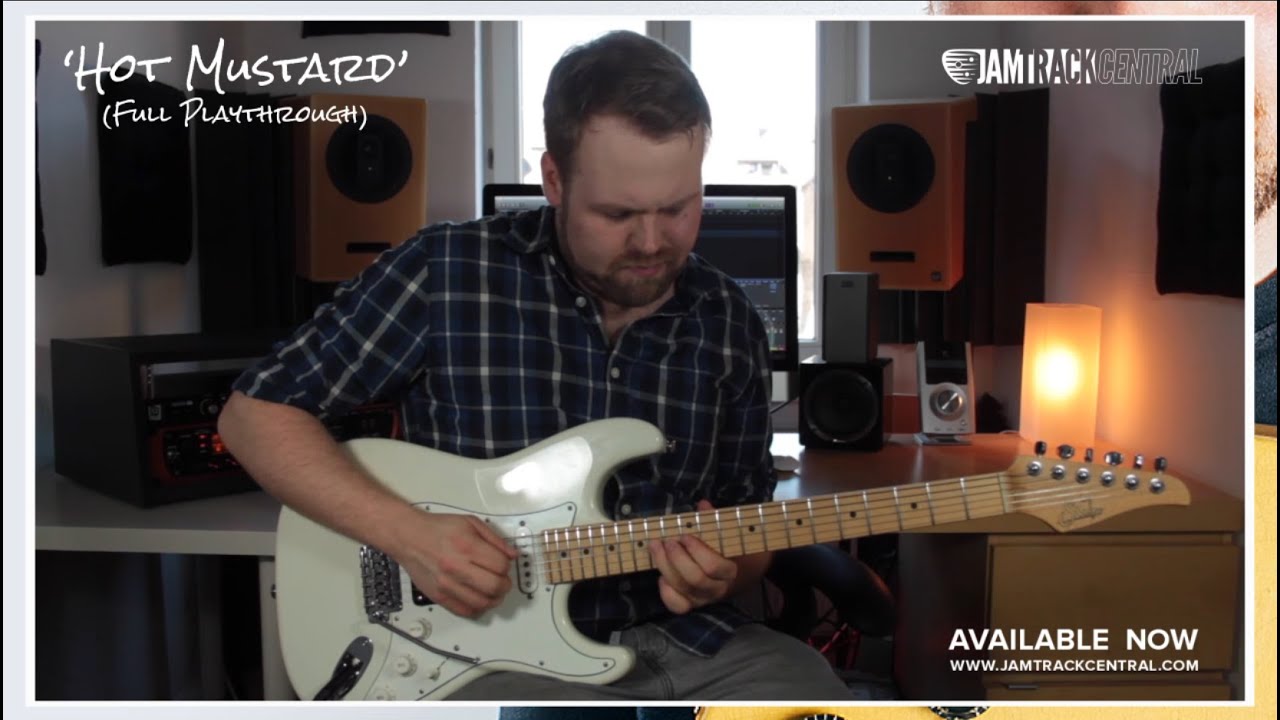 Michael Wagner's 20 Licks: Blues Techniques!