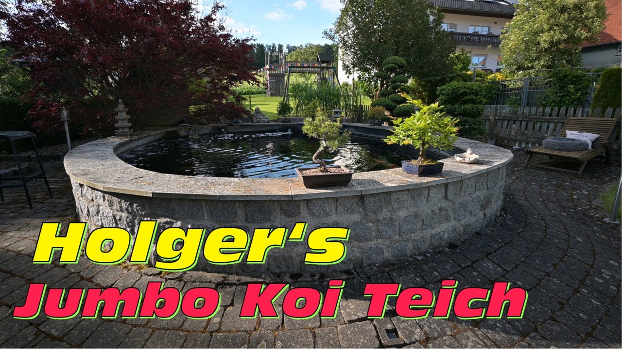 Holger‘s 16 jähriger Jumbo Koi Teich mit zwei seperaten Filterkreisläufen!