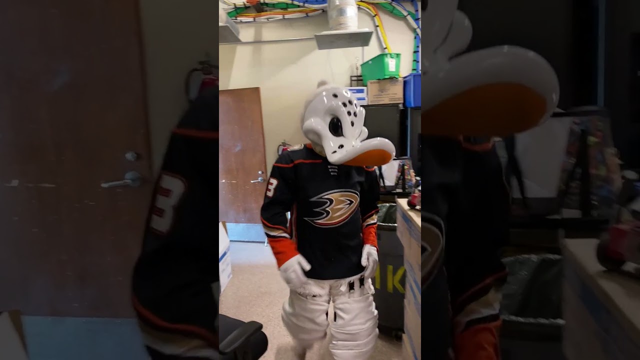 Wild Wing Prepares for the NHL Draft Lottery