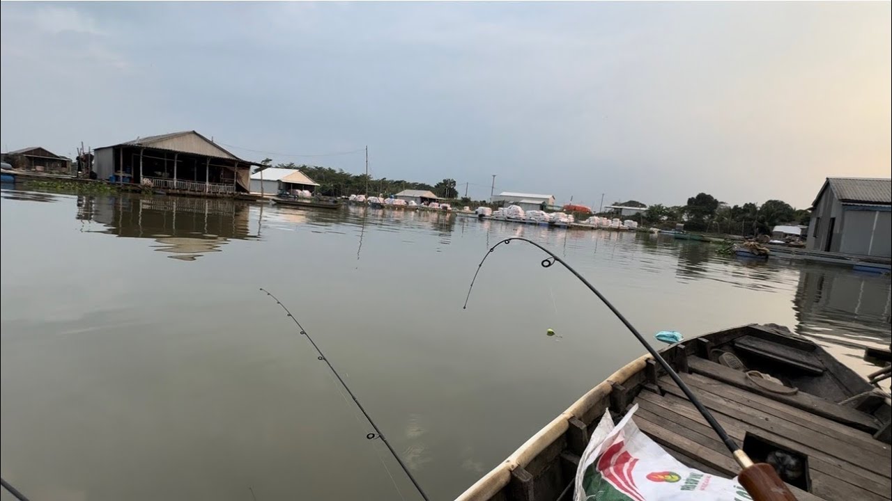 Một Ngày Bất Ổn - Trên Bờ Rồi Xuống Sông - TT2351